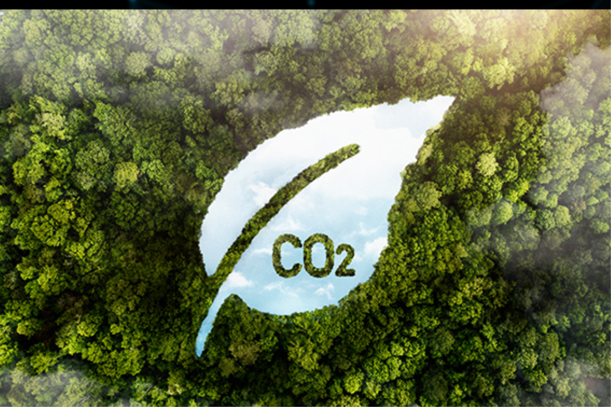 Karbon Piyasalarına İlişkin Mevzuatsal Yeni Gelişmeler
